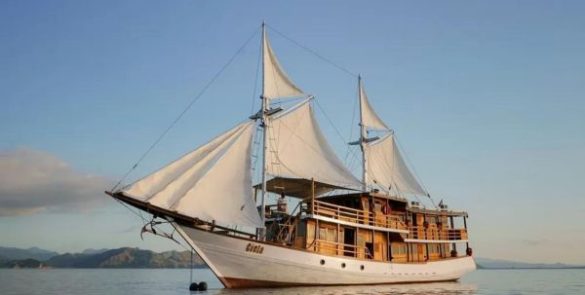 phinisi ciela,phinisi labuan bajo,boat charter to komodo,komodo island tour,komodo tour from bali,komodo island tour price