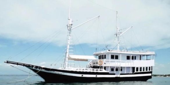 phinisi derya,,phinisi labuan bajo,boat charter to komodo,komodo island tour,komodo tour from bali,komodo island tour price,komodo tour 3 days 2 nights