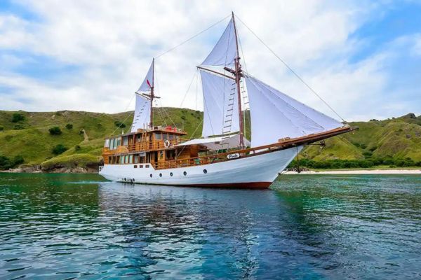 phinisi pinta,phinisi labuan bajo,boat charter to komodo,komodo island tour,komodo tour from bali,komodo island tour price
