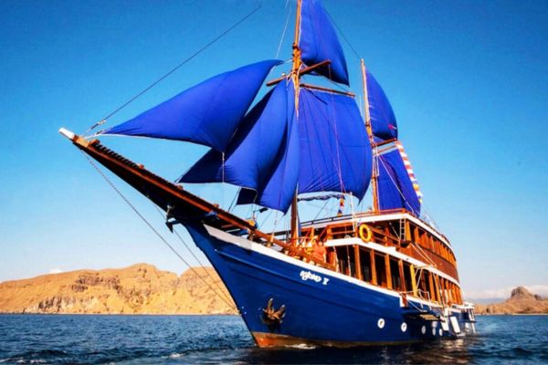 phinisi cajoma v,cajoma v boat,open trip komodo,komodo boat tour,komodo island tour,phinisi labuan bajo