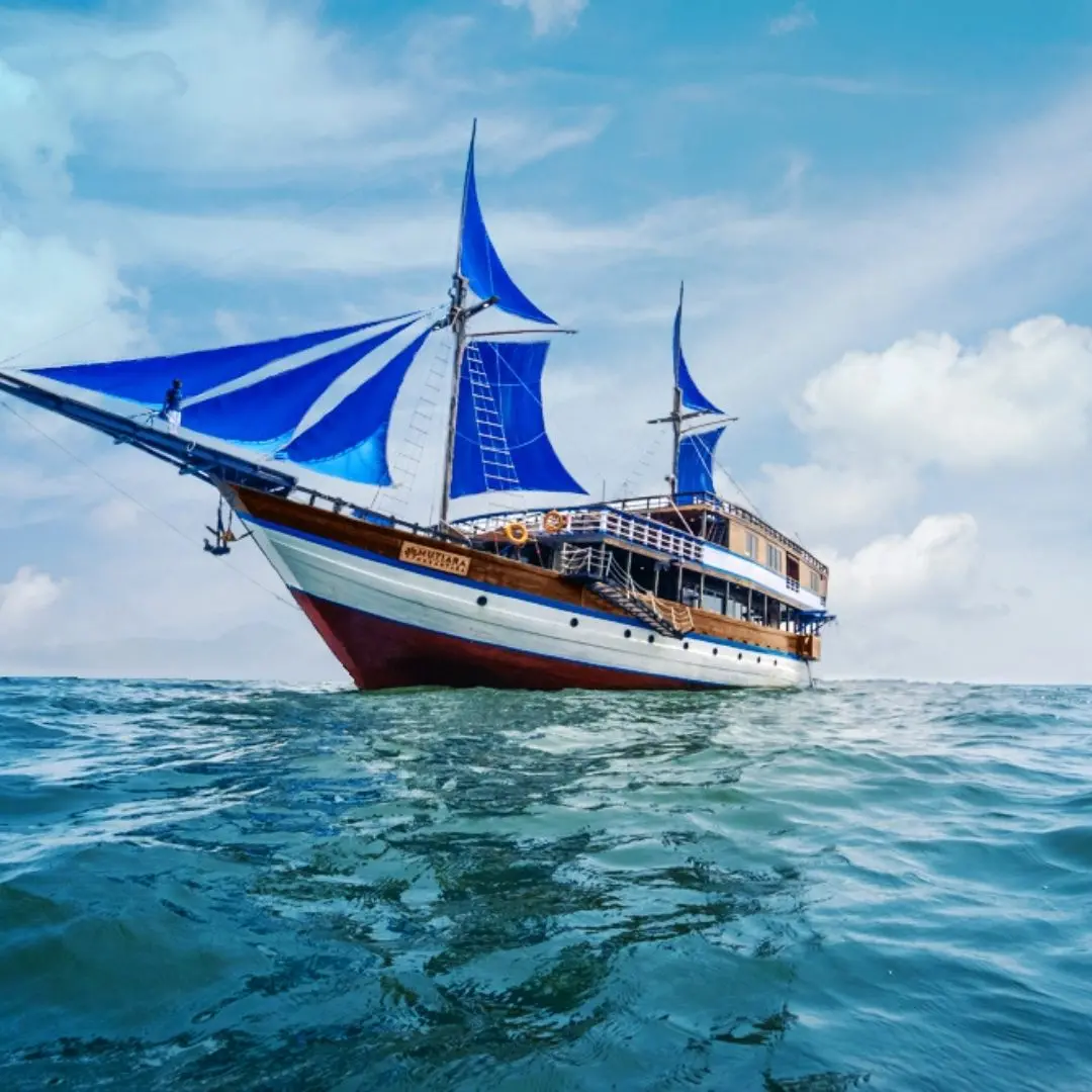 phinisi mutiara cruise,mutiara cruise boat,open trip komodo,komodo boat tour,komodo island tour,phinisi labuan bajo