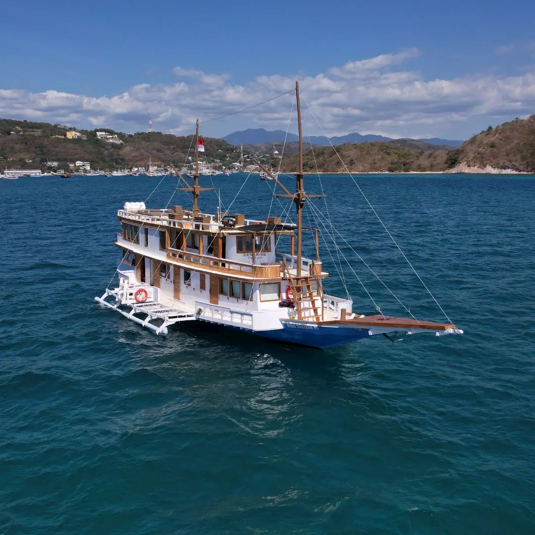 phinisi raja bintang,raja bintang boat,open trip komodo,komodo boat tour,komodo island tour,phinisi labuan bajo