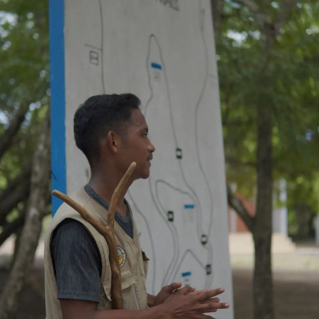 Komodo open trip local rangers,komodo island travel guide 2026