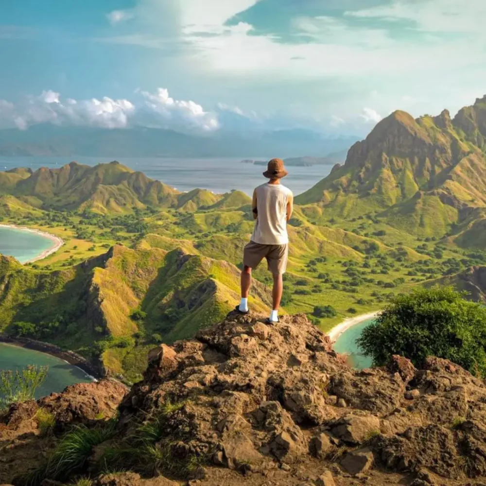 komodo tour for solo traveler,padar island,open trip labuan bajo