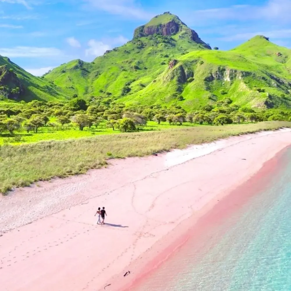 pink beach komodo, phinisi labuan bajo,Best Time to Visit Komodo Island