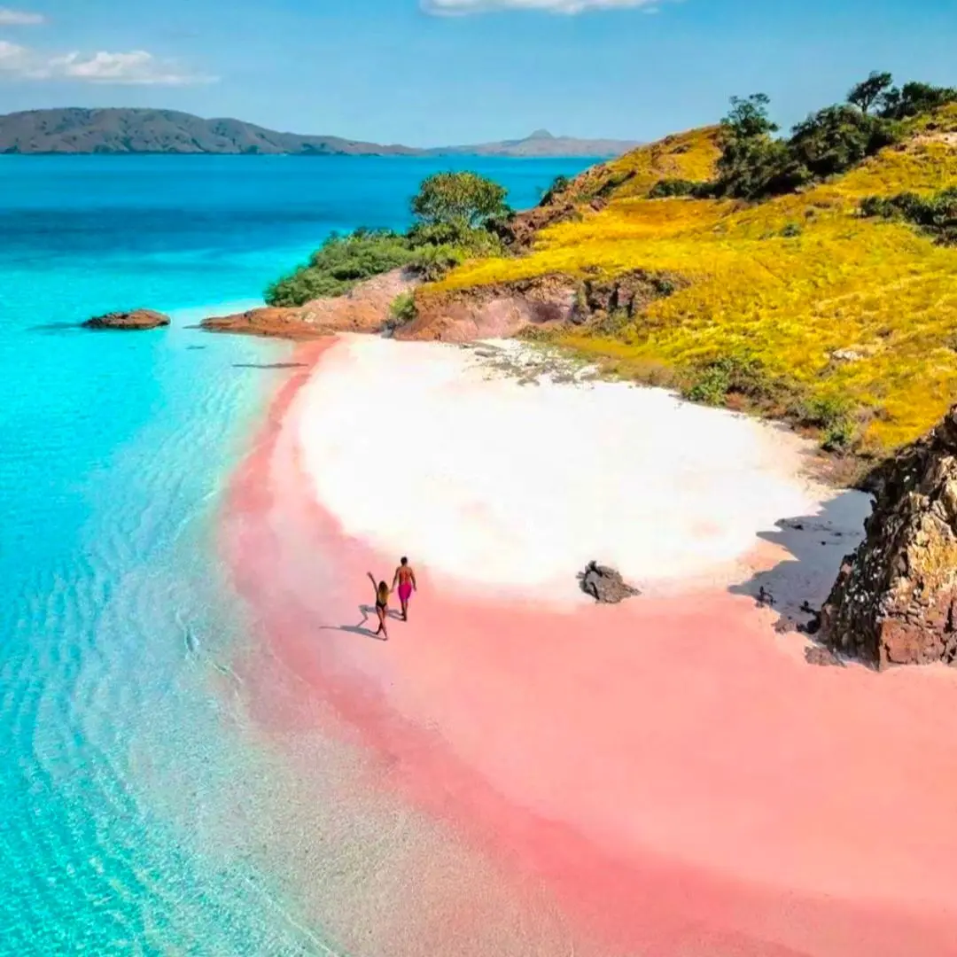 How to Plan a Komodo Trip from Singapore or Malaysia