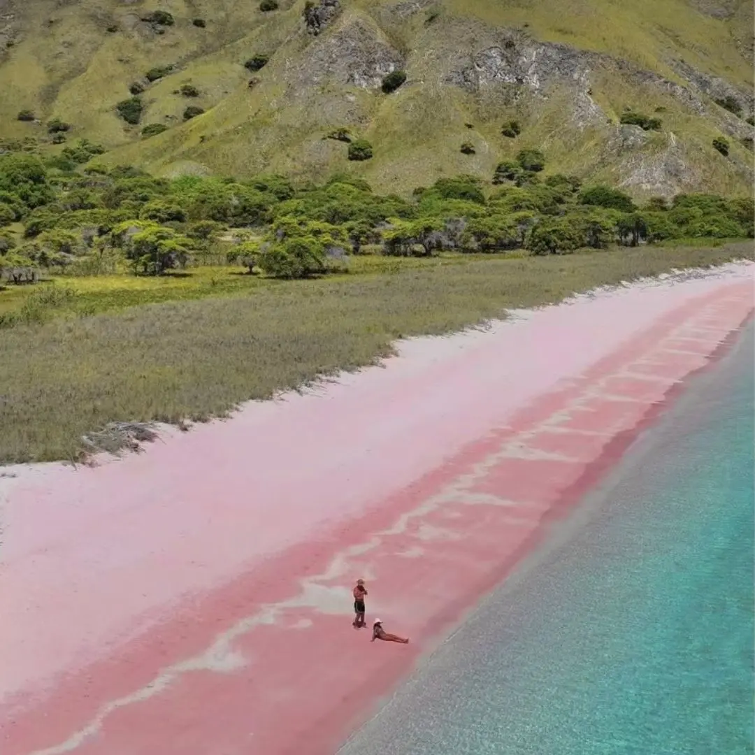 Travel Insurance for Komodo Island Tour,open trip komodo 2d1n