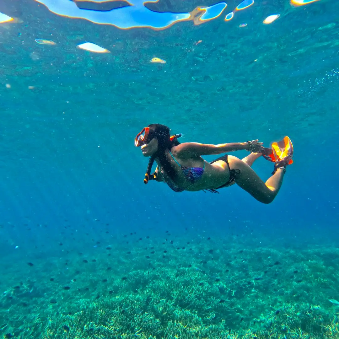 Komodo snorkeling guide,snorkeling spot in komodo labuan bajo