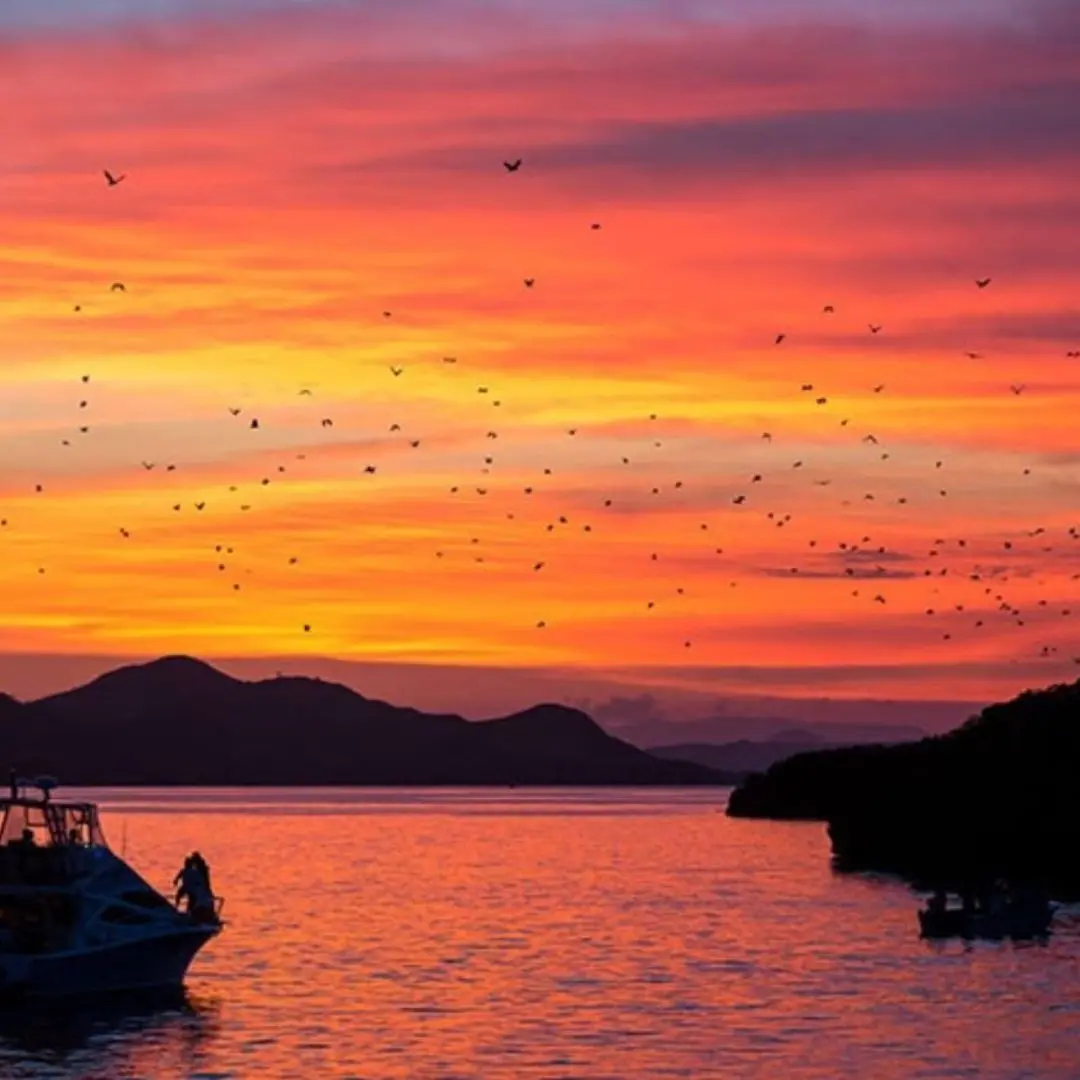 Sunset view from Kalong Island, Komodo National Park,sunset and sunrise in labuan bajo