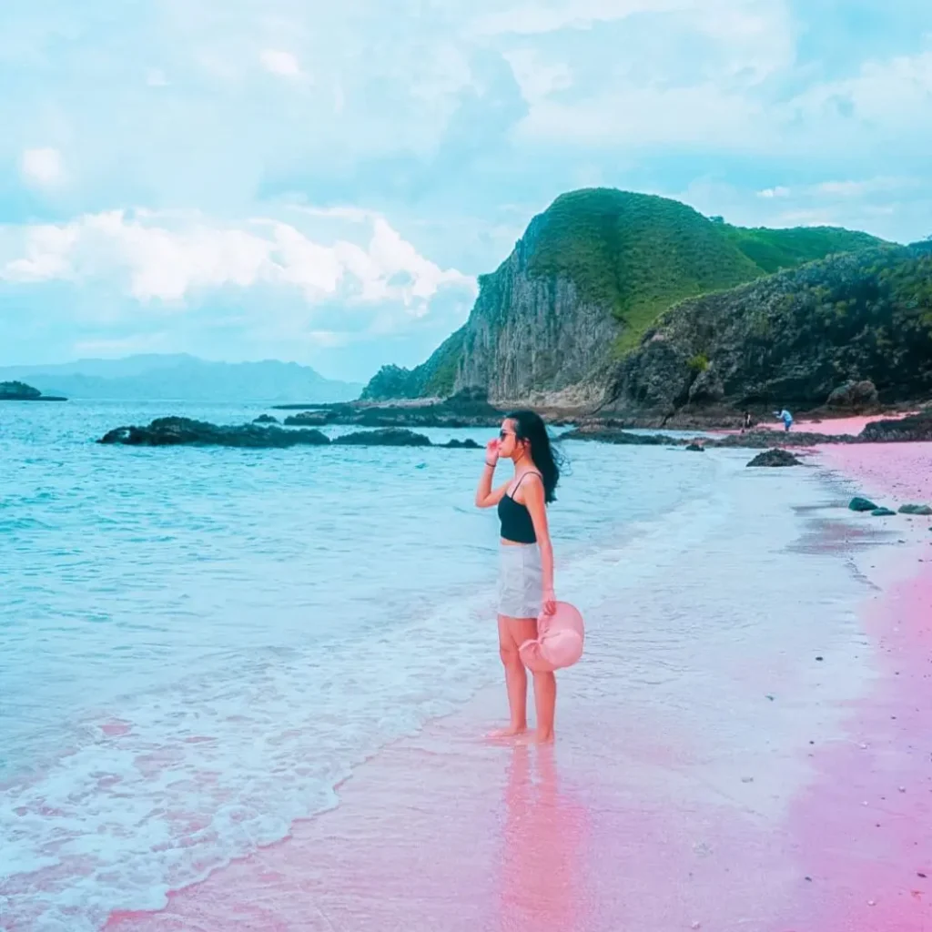 komodo tour from bali,pink beach labuan bajo,open trip komodo