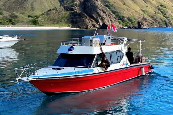 one day komodo tour,daily komodo tour,komodo boat tour,daily open trip komodo