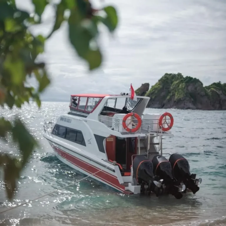 daily open trip komodo,one day komodo tour, daily trip to komodo,open trip komodo