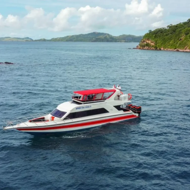 one day komodo tour, daily trip to komodo, open trip komodo