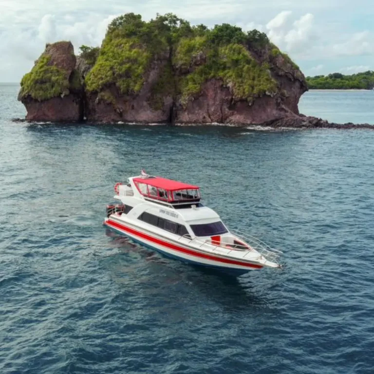 one day komodo tour, daily trip to komodo, open trip komodo