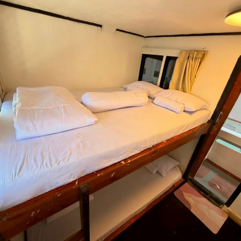 Double Bunk Bed Dara Komodo
