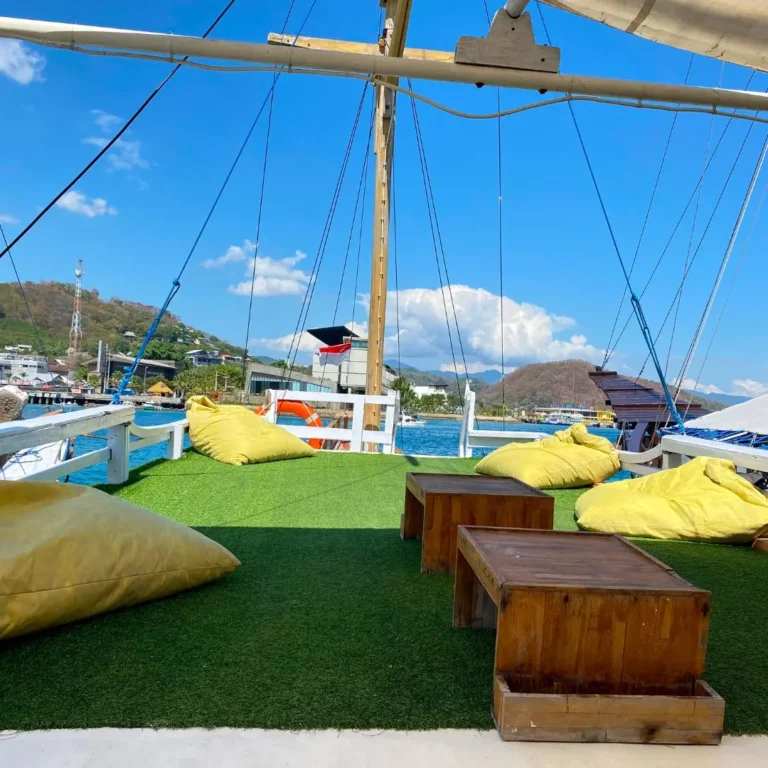 Upper Deck dara komodo