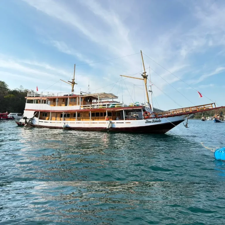 superior dara komodo
