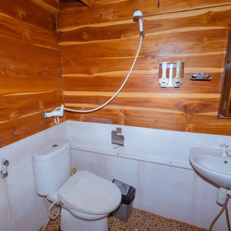 toilet dream ocean